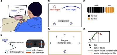 Generalization in de novo learning of virtual upper limb movements is influenced by motor exploration